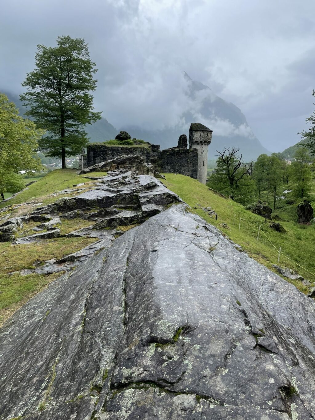 Castello di Serravalle (Foto Daniel Gutscher)