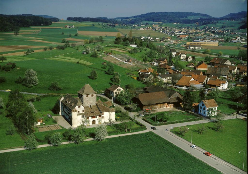 Luftaufnahme Schloss Hegi © ETH Bildarchiv