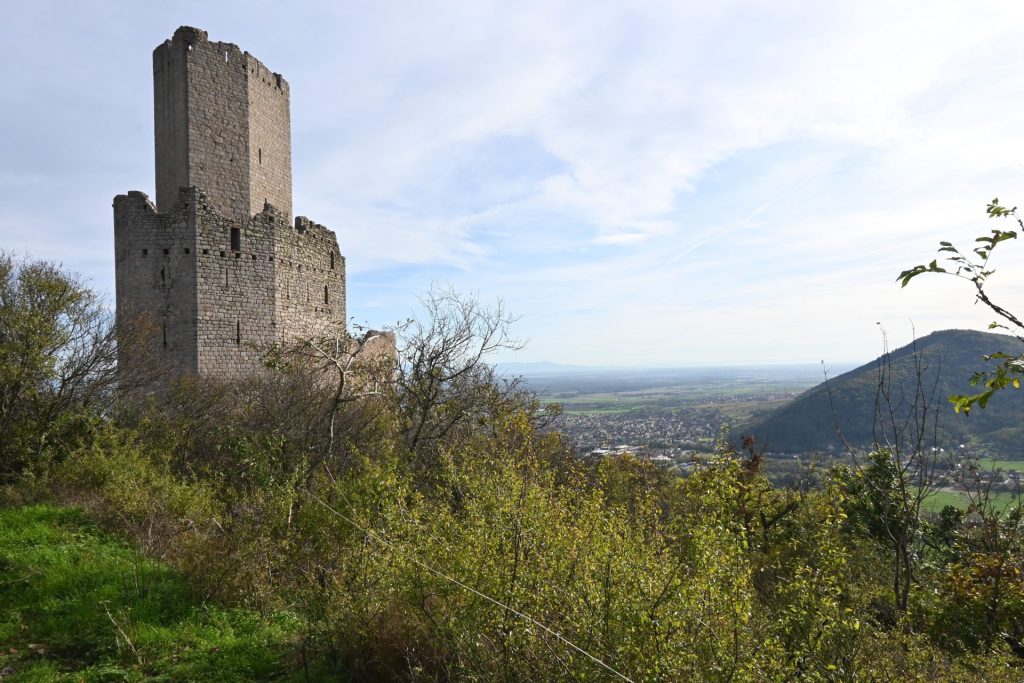 Burgruine Ortenberg